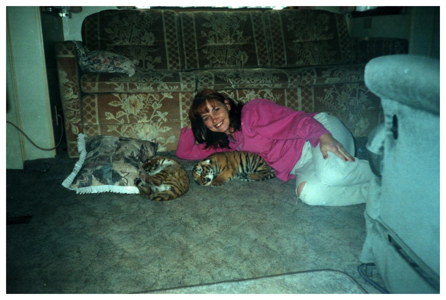 Kis tigris donnertmarta